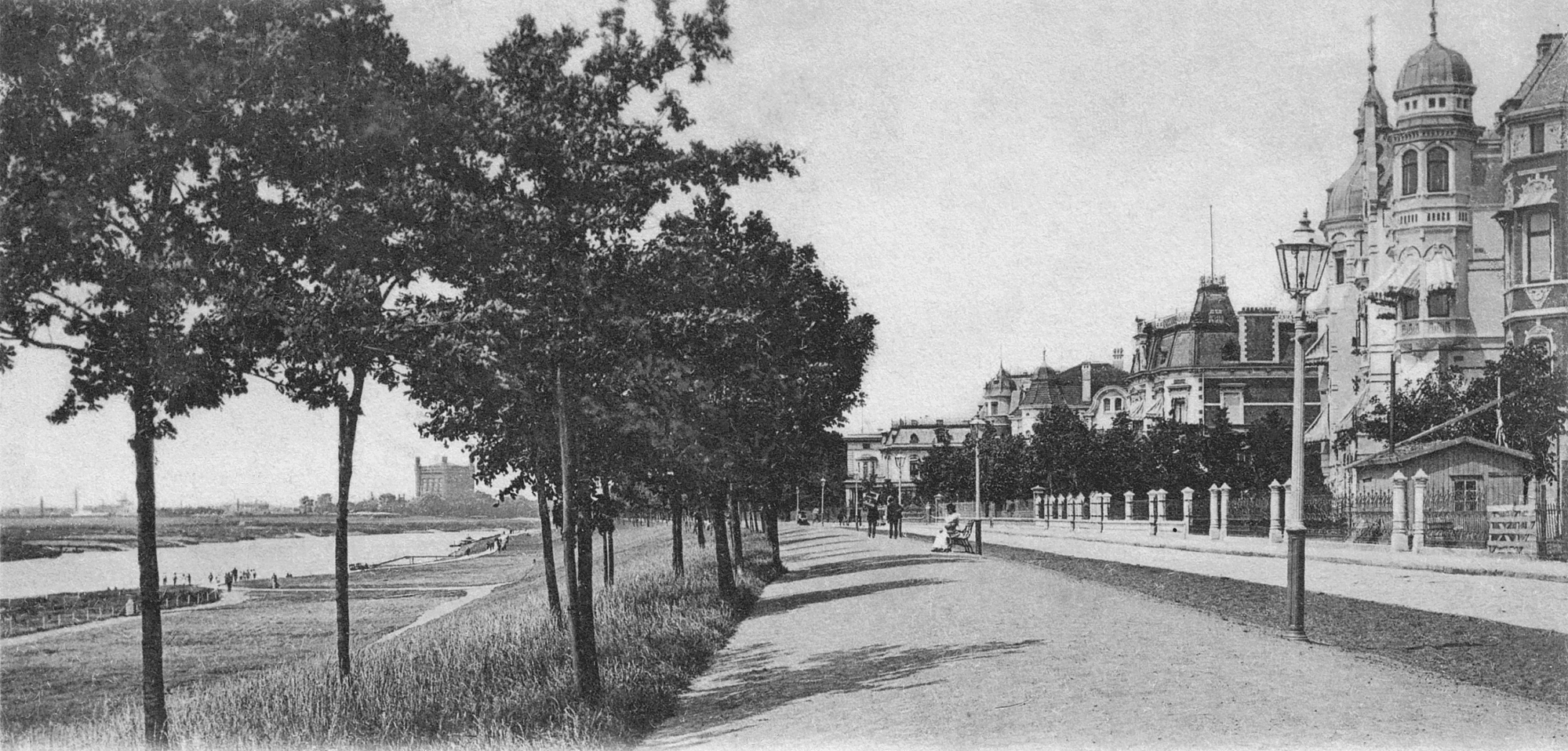 Nr.460